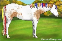 Horse Color:Painted Bay Splash Tobiano  and Chestnut Splash Tobiano 