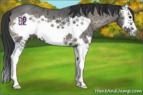 Horse Color:Blue Onyx Ice Splash Frame 