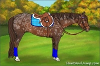 Horse Color:Liver Chestnut Ice 