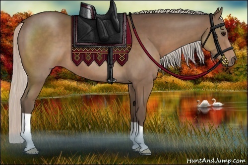 Horse Color:Silver Black 