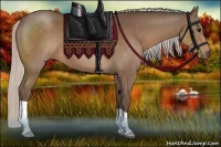 Horse Color:Silver Black 
