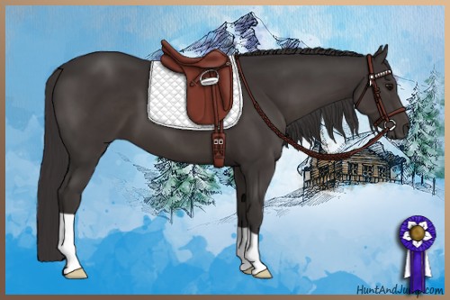 Horse Color:Smoky Black 