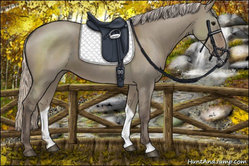 Horse Color:Silver Grullo