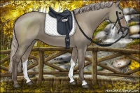 Horse Color:Silver Grullo 
