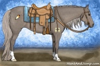 Horse Color:Silver Grullo 