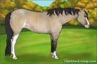 Horse Color:Brown Dun Sabino Brindle