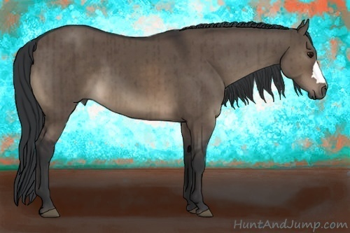 Horse Color:Brown Dun Brindle 