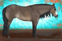 Horse Color:Brown Dun Brindle