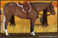 Horse Color:Silver Brown 