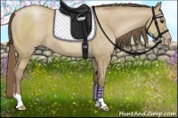 Horse Color:Grullo Pearl