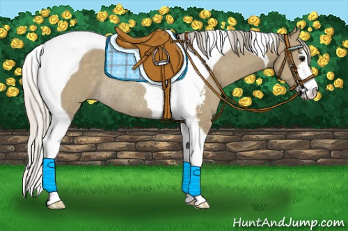 Horse Color:Silver Grullo Sabino Tobiano Rabicano 