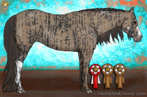Horse Color:Black Snowflake Varnish and Classic Champagne