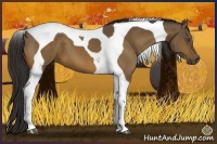 Horse Color:Buckskin Tobiano