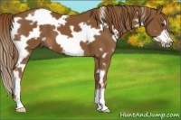 Horse Color:White Spotted Chestnut Frame 