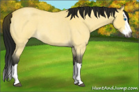 Horse Color:Gray Buckskin Roan Splash