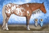 Horse Color:Silver Brown Appaloosa 