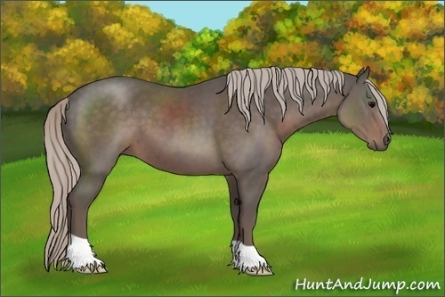 Horse Color:Silver Black 