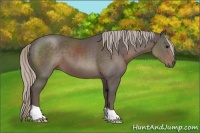 Horse Color:Silver Black 