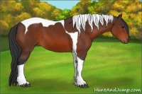 Horse Color:Brown Tobiano