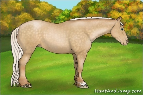 Horse Color:Silver Buckskin Pearl