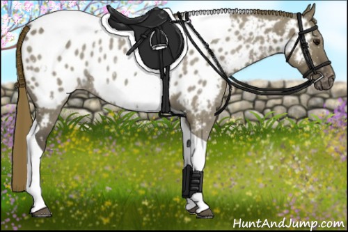 Horse Color:Smoky Grullo Roan Tobiano Appaloosa 