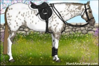 Horse Color:Smoky Grullo Roan Tobiano Blanket