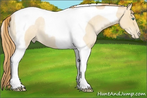 Horse Color:Smoky Blue Roan Pearl Tobiano 