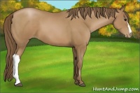 Horse Color:Black Pearl 