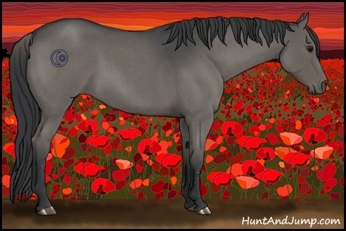 Horse Color:Blue Roan 
