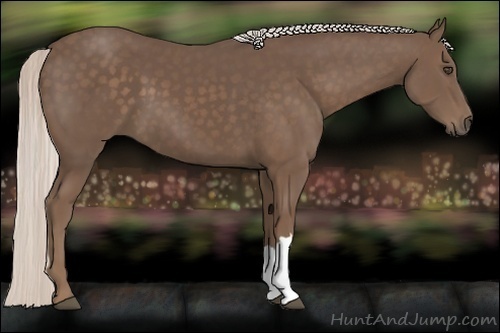 Horse Color:Silver Black 