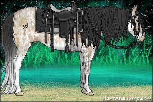 Horse Color:Brown Ice Dun Splash 