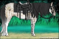 Horse Color:Brown Ice Dun Splash