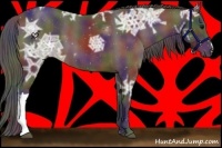 Horse Color:Nacre Brown Ice