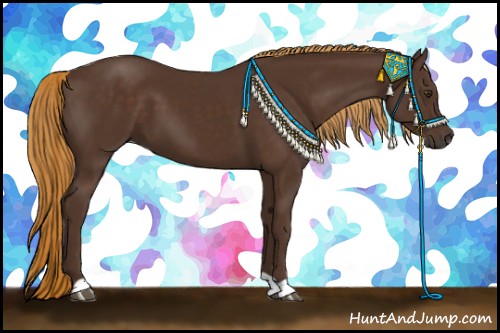 Horse Color:Liver Chestnut 