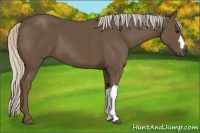 Horse Color:Silver Black 