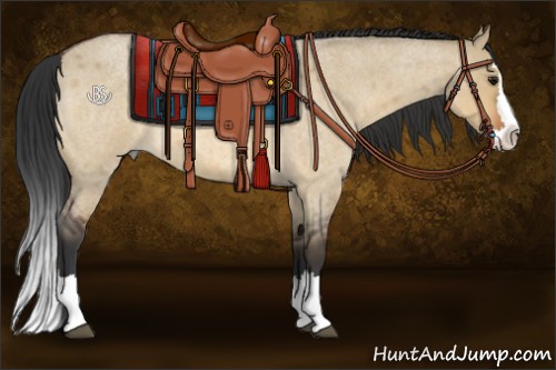 Horse Color:Bay Roan Dun Splash