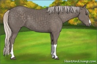 Horse Color:Silver Black 
