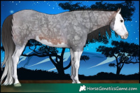 Horse Color:Brown Ice Roan Splash 
