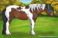Horse Color:Brown Tobiano 