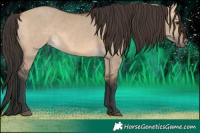 Horse Color:Bay Dun