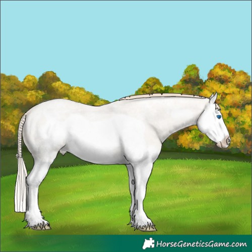 Horse Color:Smoky Creme Ice Roan Dun Splash Frame