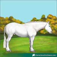 Horse Color:Smoky Creme Ice Roan Dun Splash Frame 