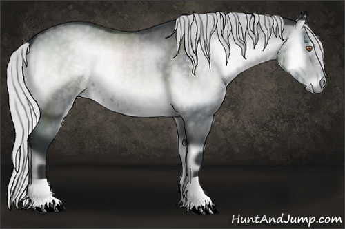 Horse Color:Silver Blue Onyx Chinchilla 