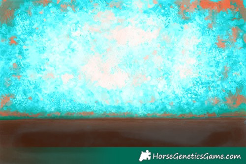 Horse Color:Brown Dun Rabicano 