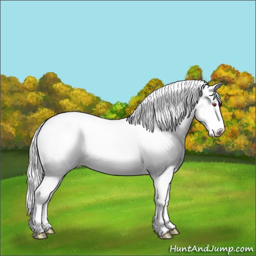 Horse Color:White Spotted Sable Cream Champagne Chinchilla Pearl Dun Appaloosa Rabicano Brindle 