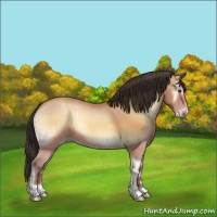 Horse Color:Sable Champagne Onyx Rabicano Brindle