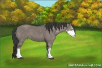 Horse Color:Grullo Sabino Varnish Brindle