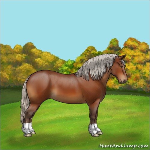 Horse Color:Silver Bay 