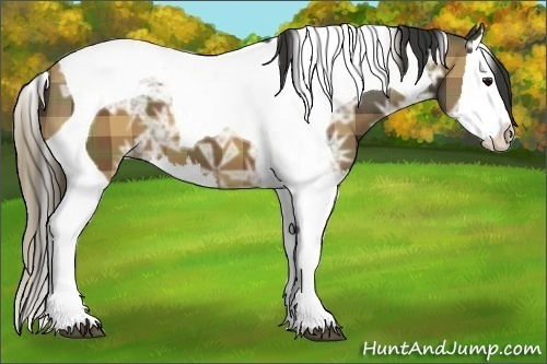 Horse Color:Plaid  Brown Ice Splash Tobiano 
