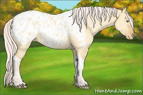Horse Color:Silver Sable Champagne Dun Tobiano Blanket 